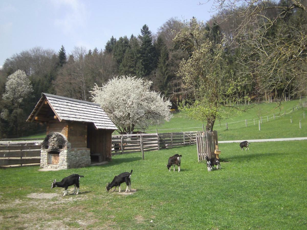 Bauernhof Kaspergut Villa Kirchberg bei Mattighofen Eksteriør billede